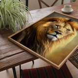 Løve - plakat 3 - Just Karikatur