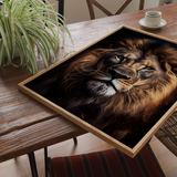 Løve - plakat 12 - Just Karikatur