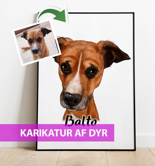 Karikatur af dyr - tegning efter dine fotos