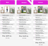 Ejendomsmægler karikaturtegning (1 person) - Basis - Just Karikatur