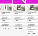 Ejendomsmægler karikaturtegning (1 person) - Standard - Just Karikatur