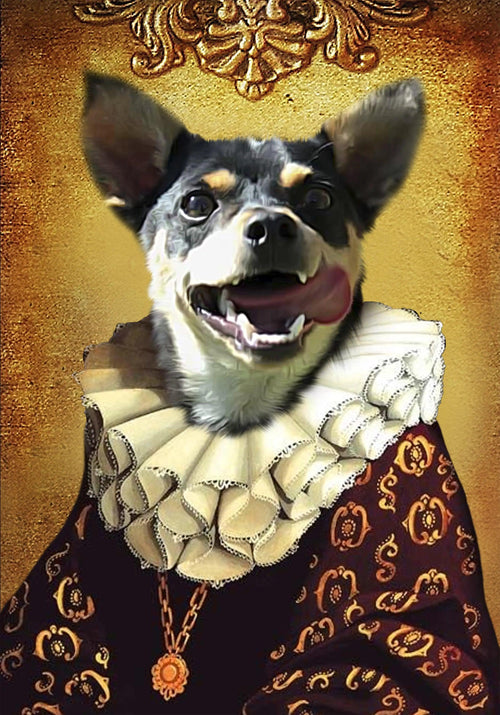 Royal kæledyrsportræt 25 - Felix