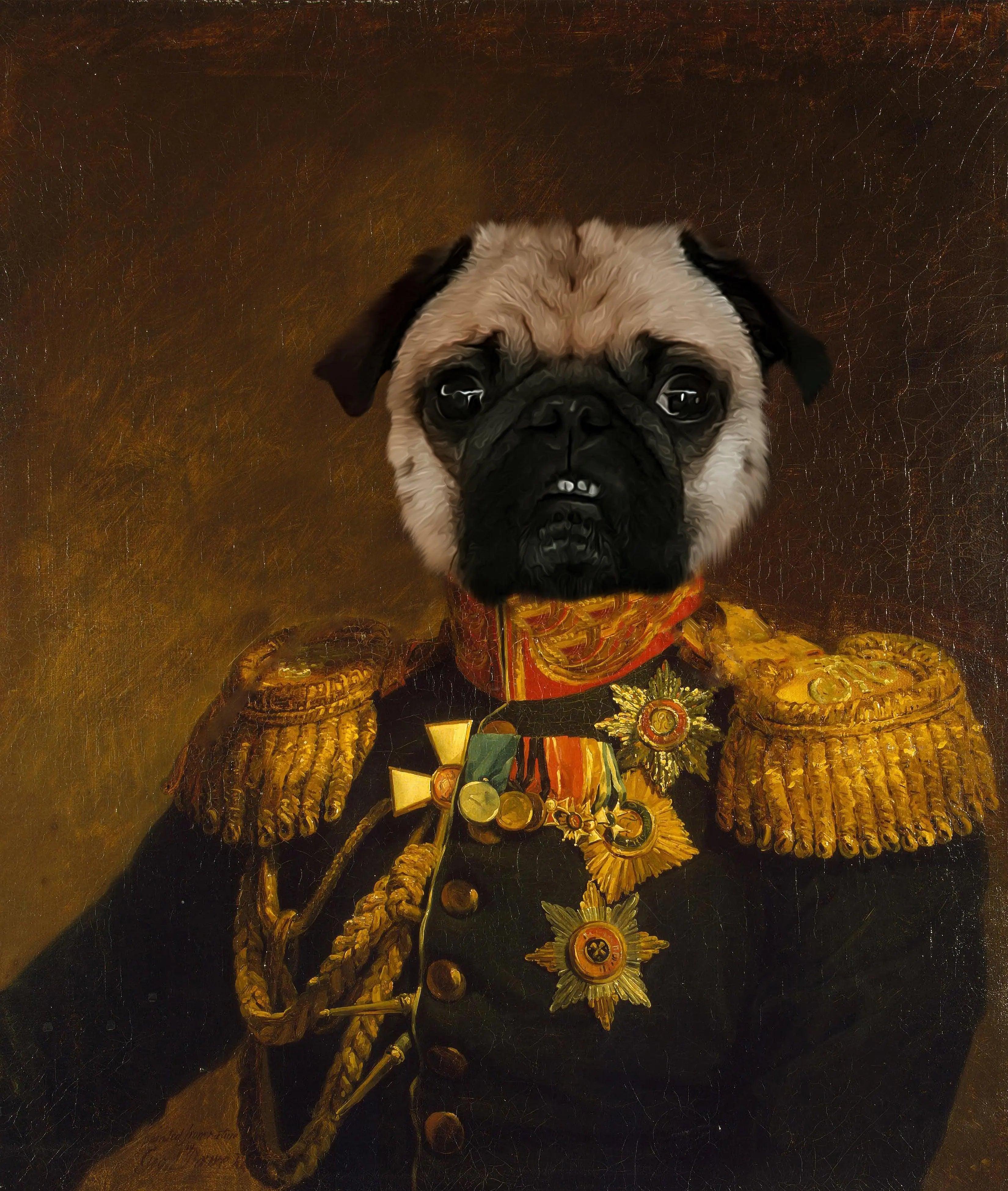 Royal kæledyrsportræt 20 - Findus - Just Karikatur