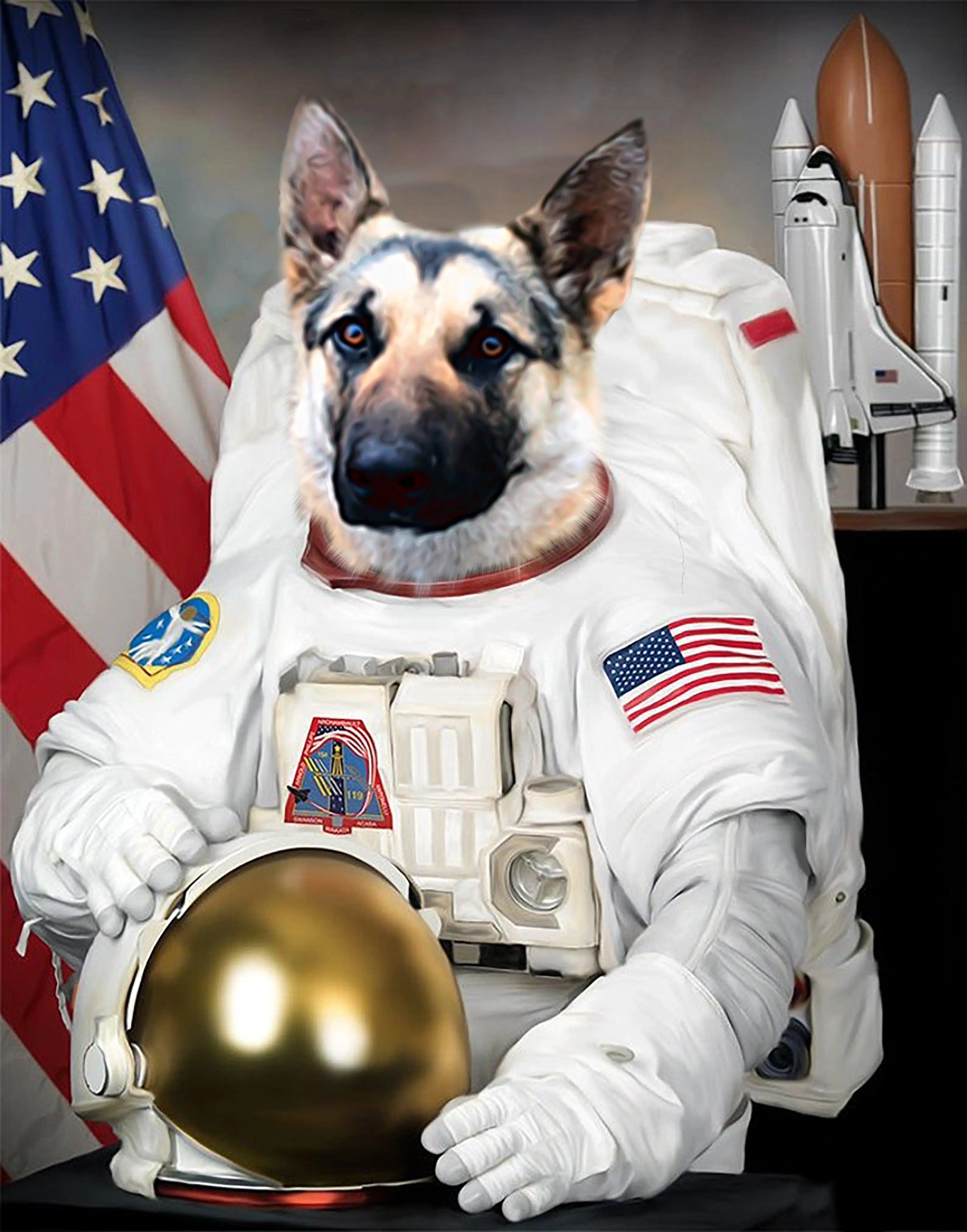 Royal kæledyrsportræt 7 - Gizmo - Just Karikatur