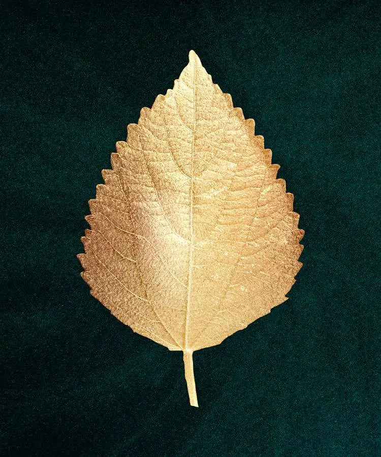 Golden leaf plakat ( sæt af 3 stk ) - Just Karikatur