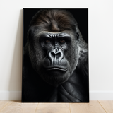 Gorilla - plakat 10 - Just Karikatur