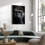 Gorilla - plakat 10 - Just Karikatur